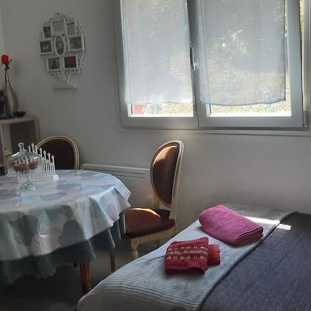 Ravissant Studio Dans Un Cadre Agreable Soultz-Haut-Rhin エクステリア 写真
