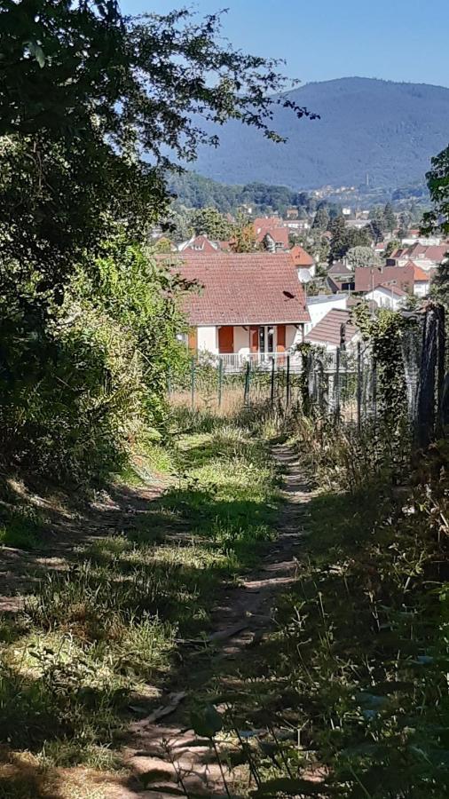 Ravissant Studio Dans Un Cadre Agreable Soultz-Haut-Rhin エクステリア 写真