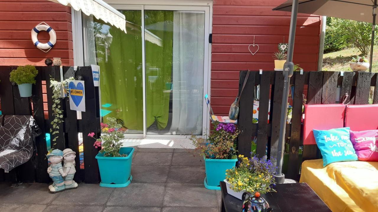 Ravissant Studio Dans Un Cadre Agreable Soultz-Haut-Rhin エクステリア 写真